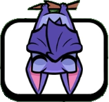 Bat Hanging